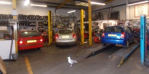 Car & Van Repairs